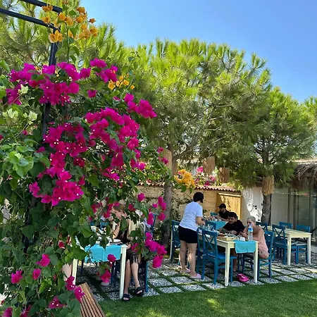 Minos Alacati * Çeşme