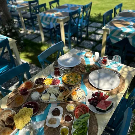 מלון Minos Alacati