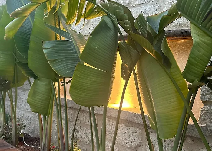 Hotel Minos Alacati Çeşme