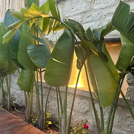 酒店 Minos Alacati Çeşme